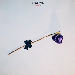 Wrong (Remix) - Single - Ally Hills