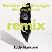 Beware The Stranger (Matthew Herbert’s Wanted Radio Edit) artwork