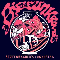 Big Funk Band by Redtenbacher's Funkestra album reviews, ratings, credits