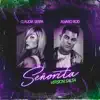 Señorita (Versión Salsa) [feat. Alvaro Rod] - Single album lyrics, reviews, download