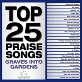 Top 25 Praise Songs - Graves Into Gardens artwork
