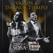 Vamos a Darnos Tiempo artwork