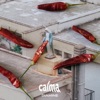 Calma - Single, 2020