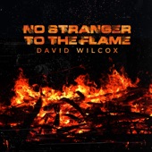 No Stranger to the Flame - Single