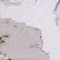 72ºs 49ºe - Sleep Research Facility lyrics