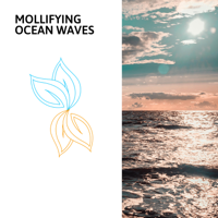 Various Artists - Mollifying Ocean Waves artwork