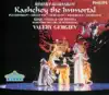 Rimsky-Korsakov: Kashchey the Immortal album lyrics, reviews, download