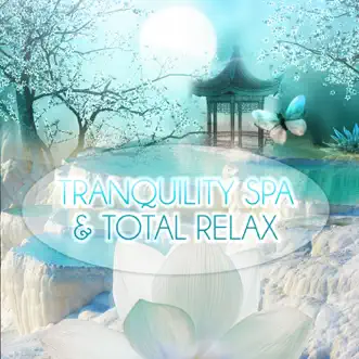Tranquility Spa & Total Relax - Most Popular Songs for Massage Therapy, Music for Healing Through Sound and Touch, Serenity Relaxing Piano and Sounds of Nature for Relaxation by Tranquility Spa Universe album reviews, ratings, credits