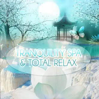 Relaxing Spa Sounds by Tranquility Spa Universe song reviws