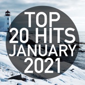 Top 20 Hits January 2021 (Instrumental) artwork
