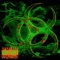 Decay (feat. Bloodthirsty) - Toon Khaos lyrics