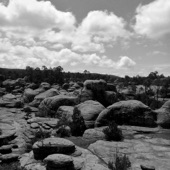 Jardin De Piedra artwork