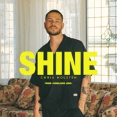 Shine (From “Familiens ære“) artwork