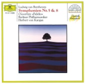 Beethoven: Symphonies Nos.5 & 8; Overture Fidelio artwork