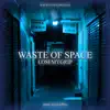 Waste of Space (feat. recycleBin) - Single album lyrics, reviews, download