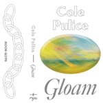 Cole Pulice - Neurochrome