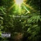 Exotic Blunts (feat. Young AK & T Guap) - J ROD lyrics