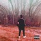 majestic garden interlude (feat. Bronco) - Grezzzo lyrics