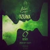 69 (feat. Ozuna) [Remix] artwork