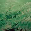 Gardens of God - All About Now feat. Aparde