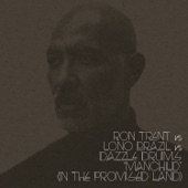 Manchild (In the Promised Land) [Ron Trent Full Vocal Version] artwork