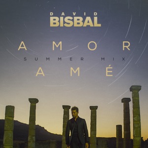 David Bisbal - Amor Amé (Summer Mix) - Line Dance Music