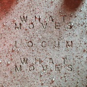 What Moves (Locum Edit) artwork