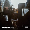 Animal by Nayt iTunes Track 1