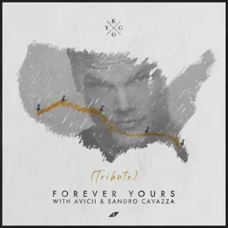 Forever Yours (Avicii Tribute) by Kygo, Avicii & Sandro Cavazza song reviws