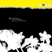 Hope Sandoval & The Warm Inventions - Lose Me On the Way