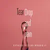 Teardrops&Pain (feat. King Boii) song lyrics