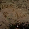 Primicia - Single