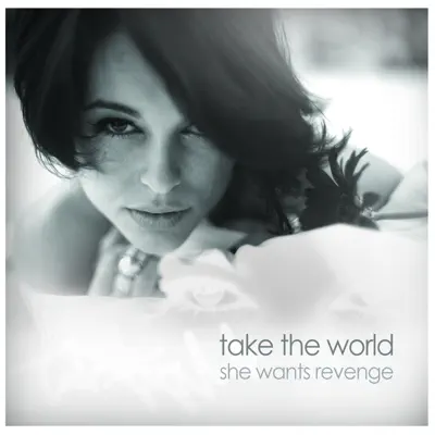 Must Be the One (Digital 45) - Single - She Wants Revenge