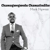 Chamugwegwedu Chamatindike artwork