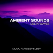 Ambient Sounds Delta Waves - Music for Deep Sleep artwork