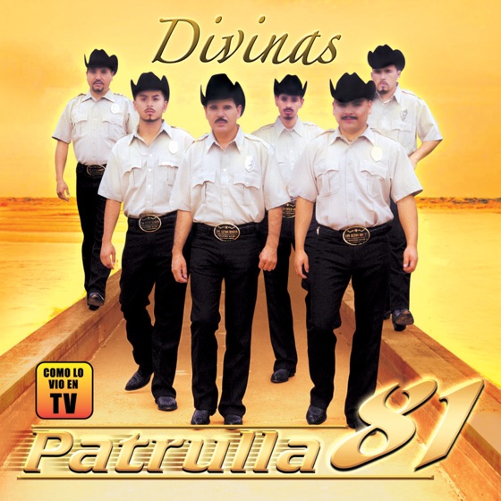 Cover artwork for Soy Celoso