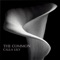 Calla Lily - The Common lyrics
