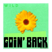 Goin' Back (feat. Zac Barnett) artwork