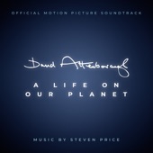 David Attenborough: A Life On Our Planet (Original Motion Picture Soundtrack) artwork