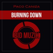 Burning Down artwork