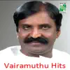 Vairamuthu Hits album lyrics, reviews, download