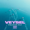 PELICAN FLY by Veysel, Miksu / Macloud iTunes Track 1