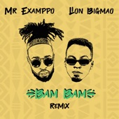 Bam Bam (Remix) artwork