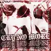 Cry No More - Single album lyrics, reviews, download