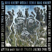 Who Knew? (Wookie Remix) artwork