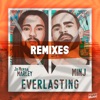 Everlasting (Remixes) - EP, 2020