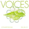 Stream & download Voices - Single