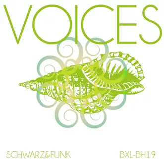 Voices - Single by Schwarz & Funk album reviews, ratings, credits