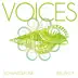 Voices - Single album cover