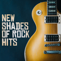 Dale Burbeck - New Shades of Rock Hits artwork